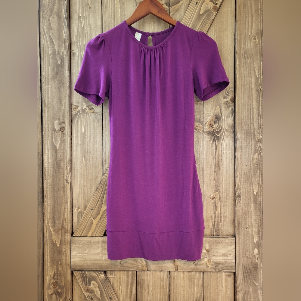 FRENZII JERSEY SHORT SLEEVE ROUND NECK MINI DRESS SIZE XS BURGUNDY